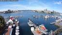 ./images/victoria/wharf/20250814/wharf20250814_110011M.jpg