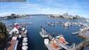 ./images/victoria/wharf/20250814/wharf20250814_111511M.jpg