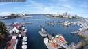 ./images/victoria/wharf/20250814/wharf20250814_112510M.jpg