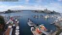 ./images/victoria/wharf/20250814/wharf20250814_132511M.jpg