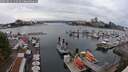 ./images/victoria/wharf/20250814/wharf20250814_152510M.jpg