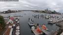 ./images/victoria/wharf/20250814/wharf20250814_163010M.jpg
