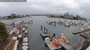 ./images/victoria/wharf/20250814/wharf20250814_171511M.jpg