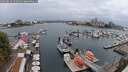 ./images/victoria/wharf/20250814/wharf20250814_172010M.jpg
