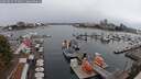 ./images/victoria/wharf/20250814/wharf20250814_174010M.jpg