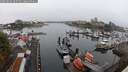 ./images/victoria/wharf/20250815/wharf20250815_065509M.jpg