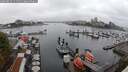 ./images/victoria/wharf/20250815/wharf20250815_111511M.jpg