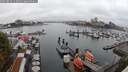 ./images/victoria/wharf/20250815/wharf20250815_112010M.jpg