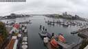./images/victoria/wharf/20250815/wharf20250815_113510M.jpg