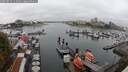./images/victoria/wharf/20250815/wharf20250815_114011M.jpg