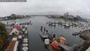 ./images/victoria/wharf/20250815/wharf20250815_115010M.jpg