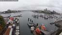 ./images/victoria/wharf/20250815/wharf20250815_121510M.jpg