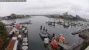 ./images/victoria/wharf/20250815/wharf20250815_122510M.jpg