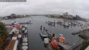 ./images/victoria/wharf/20250815/wharf20250815_125509M.jpg