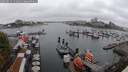 ./images/victoria/wharf/20250815/wharf20250815_131011M.jpg