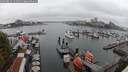 ./images/victoria/wharf/20250815/wharf20250815_131511M.jpg