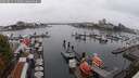 ./images/victoria/wharf/20250815/wharf20250815_134010M.jpg