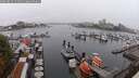 ./images/victoria/wharf/20250815/wharf20250815_141010M.jpg