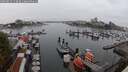 ./images/victoria/wharf/20250815/wharf20250815_143009M.jpg