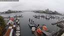 ./images/victoria/wharf/20250815/wharf20250815_152508M.jpg