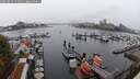 ./images/victoria/wharf/20250815/wharf20250815_155010M.jpg