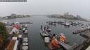 ./images/victoria/wharf/20250815/wharf20250815_171511M.jpg