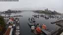 ./images/victoria/wharf/20250815/wharf20250815_183510M.jpg