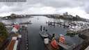 ./images/victoria/wharf/20250816/wharf20250816_092510M.jpg