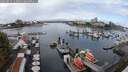 ./images/victoria/wharf/20250816/wharf20250816_112011M.jpg