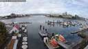./images/victoria/wharf/20250816/wharf20250816_114511M.jpg