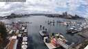 ./images/victoria/wharf/20250816/wharf20250816_151511M.jpg