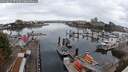 ./images/victoria/wharf/20250817/wharf20250817_071510M.jpg