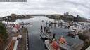 ./images/victoria/wharf/20250817/wharf20250817_073010M.jpg