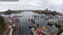 ./images/victoria/wharf/20250817/wharf20250817_075509M.jpg