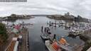 ./images/victoria/wharf/20250817/wharf20250817_080012M.jpg