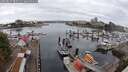 ./images/victoria/wharf/20250817/wharf20250817_080511M.jpg