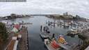 ./images/victoria/wharf/20250817/wharf20250817_090511M.jpg