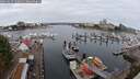 ./images/victoria/wharf/20250817/wharf20250817_100011M.jpg