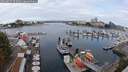 ./images/victoria/wharf/20250817/wharf20250817_103011M.jpg