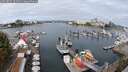 ./images/victoria/wharf/20250817/wharf20250817_104511M.jpg
