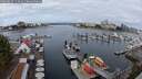 ./images/victoria/wharf/20250817/wharf20250817_110012M.jpg
