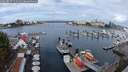 ./images/victoria/wharf/20250817/wharf20250817_111011M.jpg