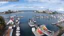 ./images/victoria/wharf/20250817/wharf20250817_112510M.jpg