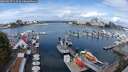./images/victoria/wharf/20250817/wharf20250817_113510M.jpg