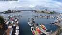 ./images/victoria/wharf/20250817/wharf20250817_122510M.jpg