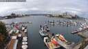 ./images/victoria/wharf/20250817/wharf20250817_131010M.jpg