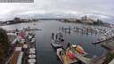 ./images/victoria/wharf/20250817/wharf20250817_131511M.jpg