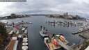 ./images/victoria/wharf/20250817/wharf20250817_141511M.jpg
