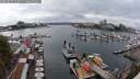 ./images/victoria/wharf/20250817/wharf20250817_142510M.jpg