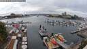 ./images/victoria/wharf/20250817/wharf20250817_143012M.jpg